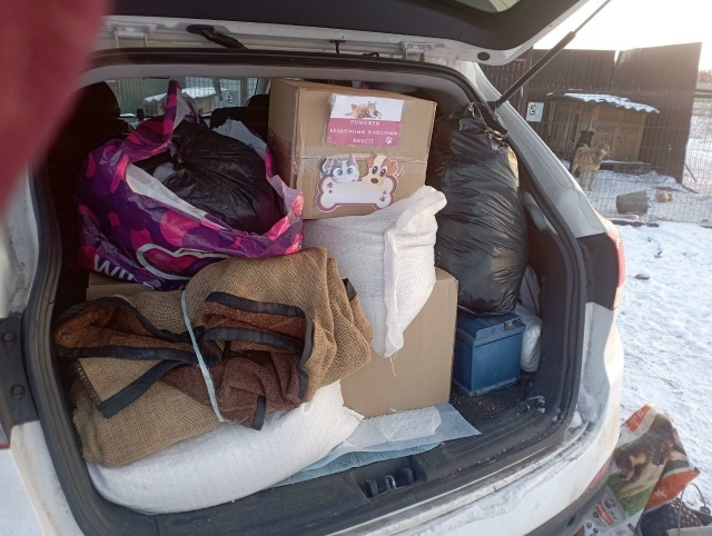 Помощь, которую собрали школьники для приюта