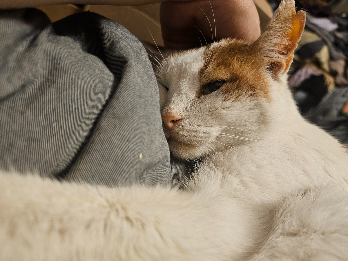 Фото автора. Боинг приходит пожалется.