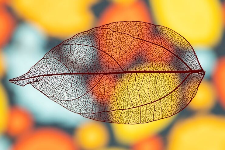 Разница видна невооруженным глазом