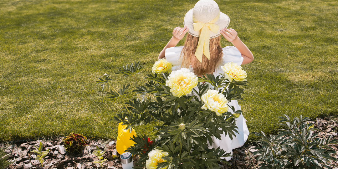 5 самых ароматных цветов для вашего сада