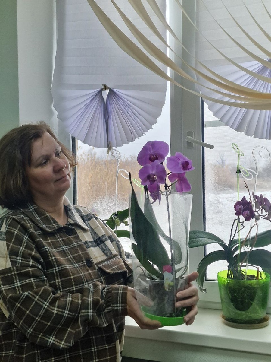 Новые орхидеи. Вдали от города. Нина Коновалова