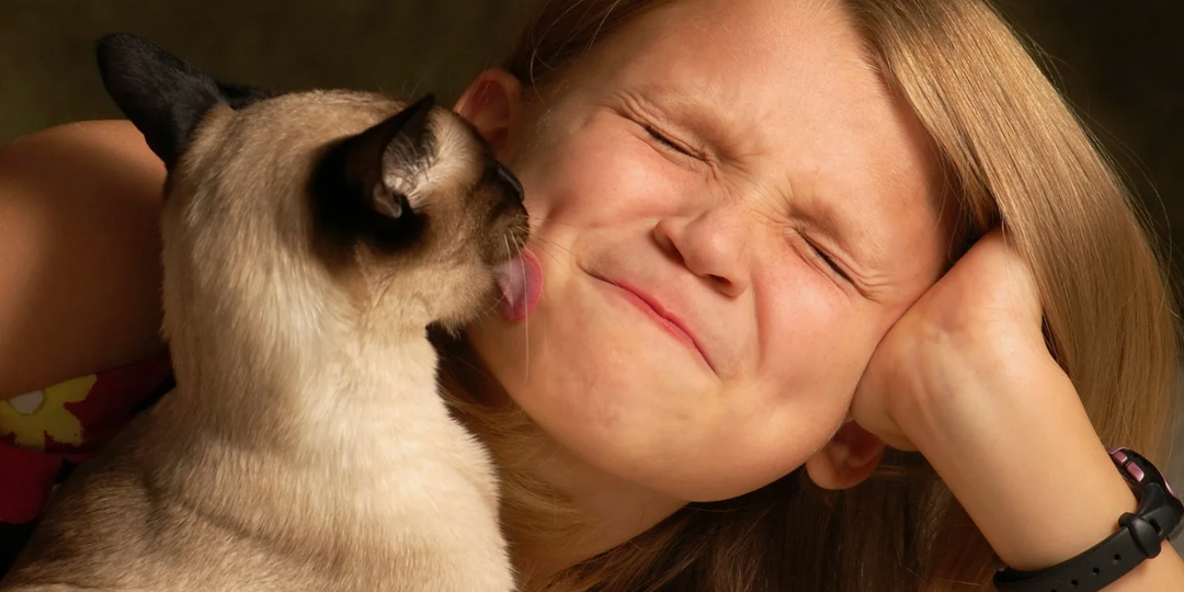 Облизывание кошек: знак привязанности или скрытый смысл?