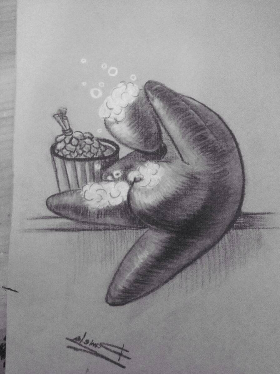 Пашка образца 2016 года