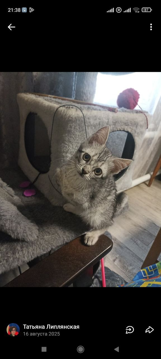 Вика - спасённая малышка