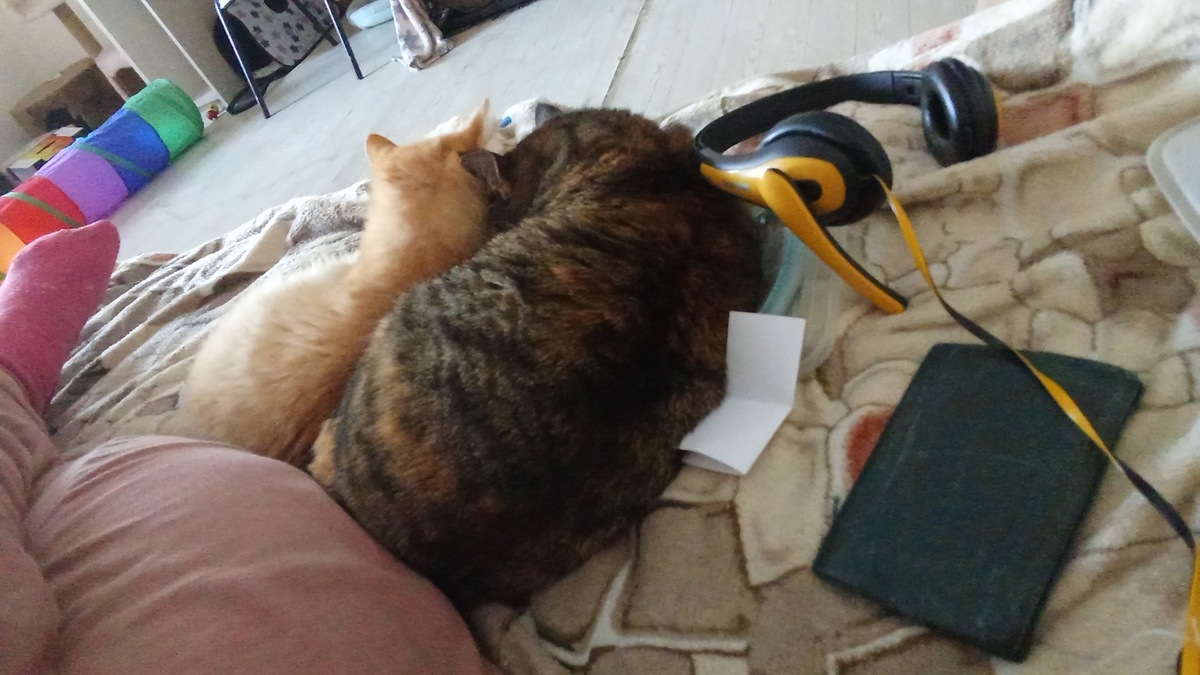 Марта с Нюшей