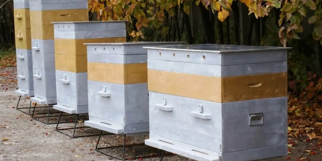 Какой тип улья выбрать для пчеловодства