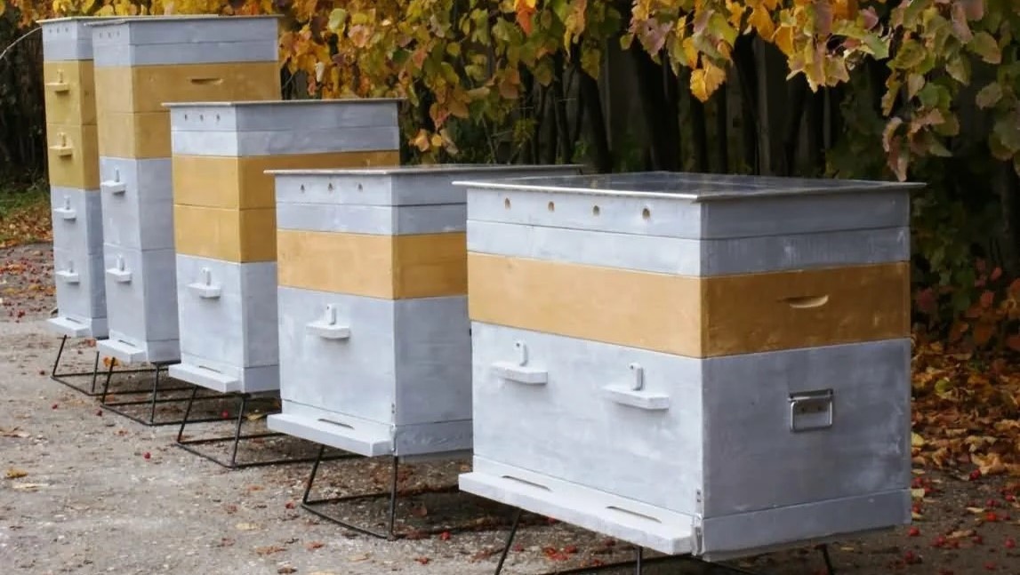 Ульи разных конструкций