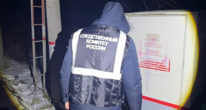    dzen.ru