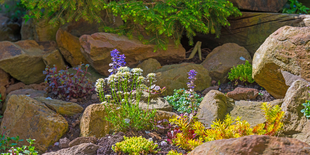 Стильный рокарий: какие растения посадить