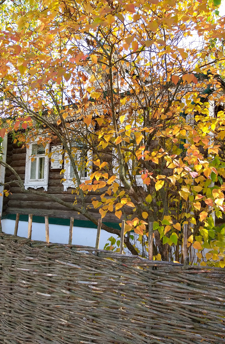 Константиново. Дом родителей Есенина. Фото автора статьи.