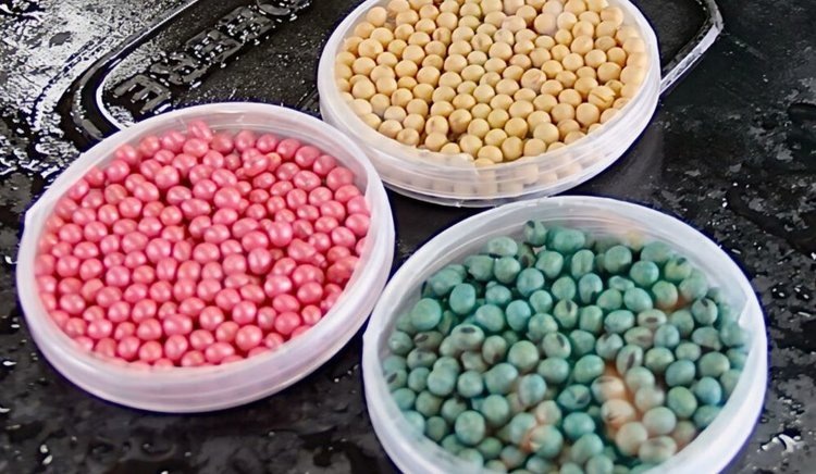    Фото: Sonja Lapak, Michigan Soybean Committee