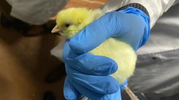    Фото: Источник: Николай Тарлавин.