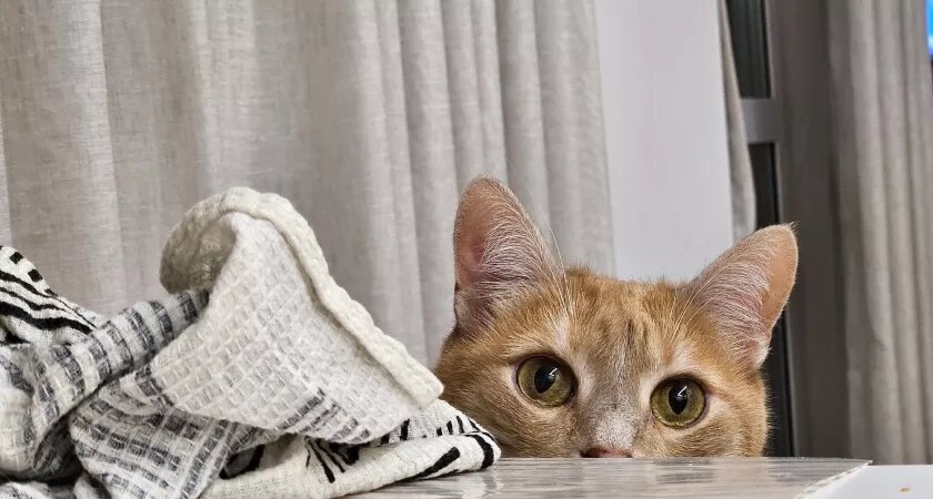    Фото из архива редакции