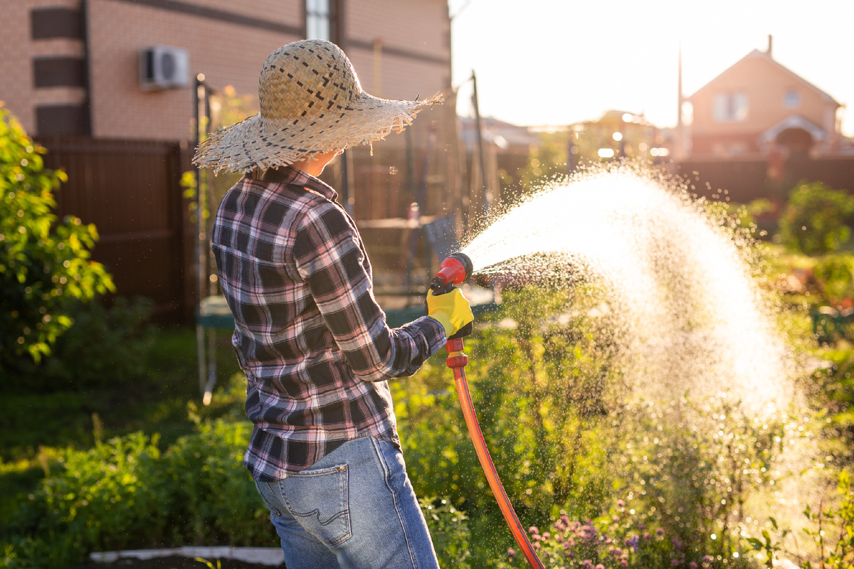 Designed by Freepik. Источник: www.freepik.com