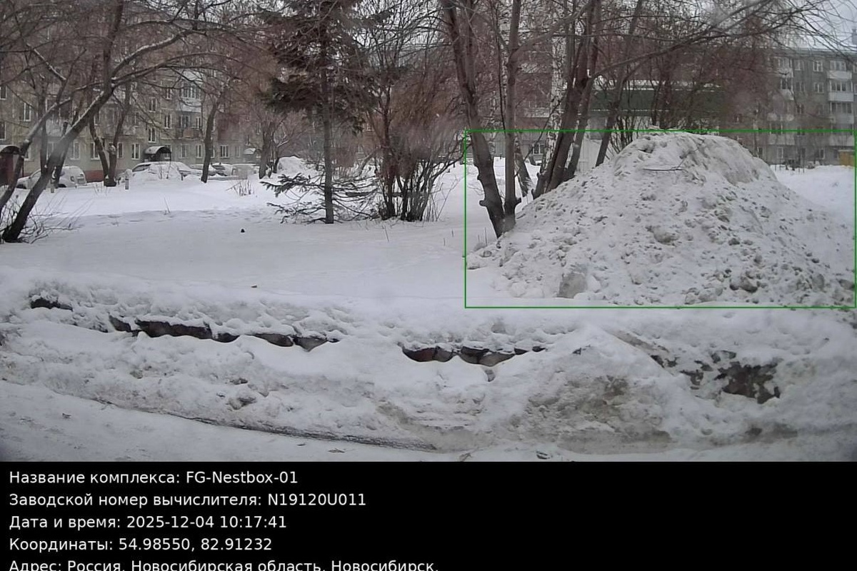    Фото: мэрия Новосибирска