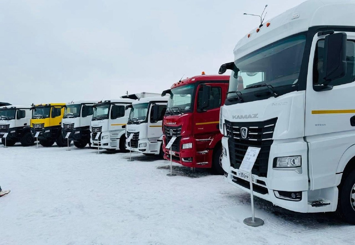    Фото: пресс-служба Министерства по содержанию территорий и государственному жилищному надзору Московской области