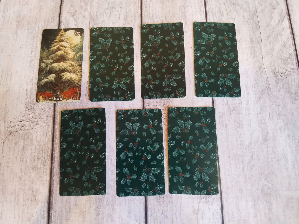 Фото автора - Алиса в стране чудес 