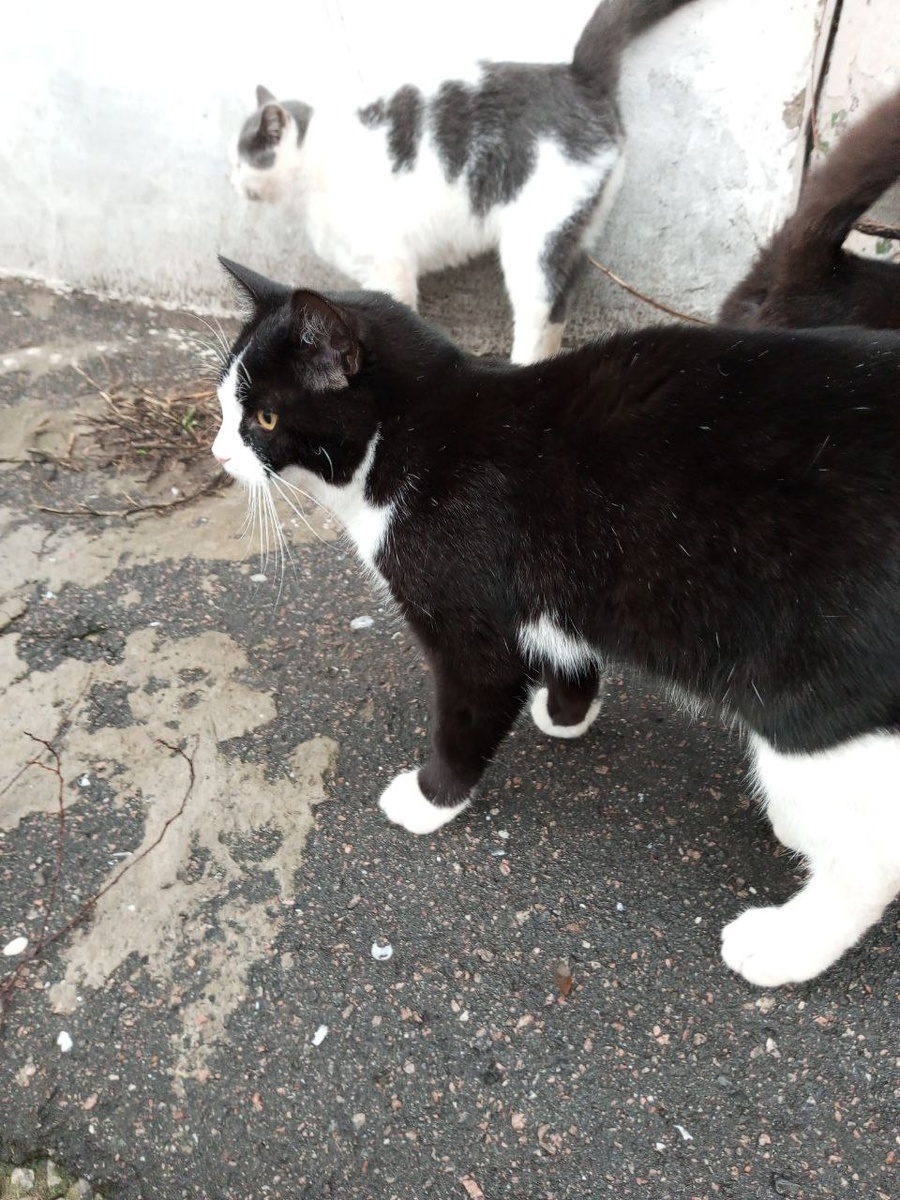 Как будто и не зима.