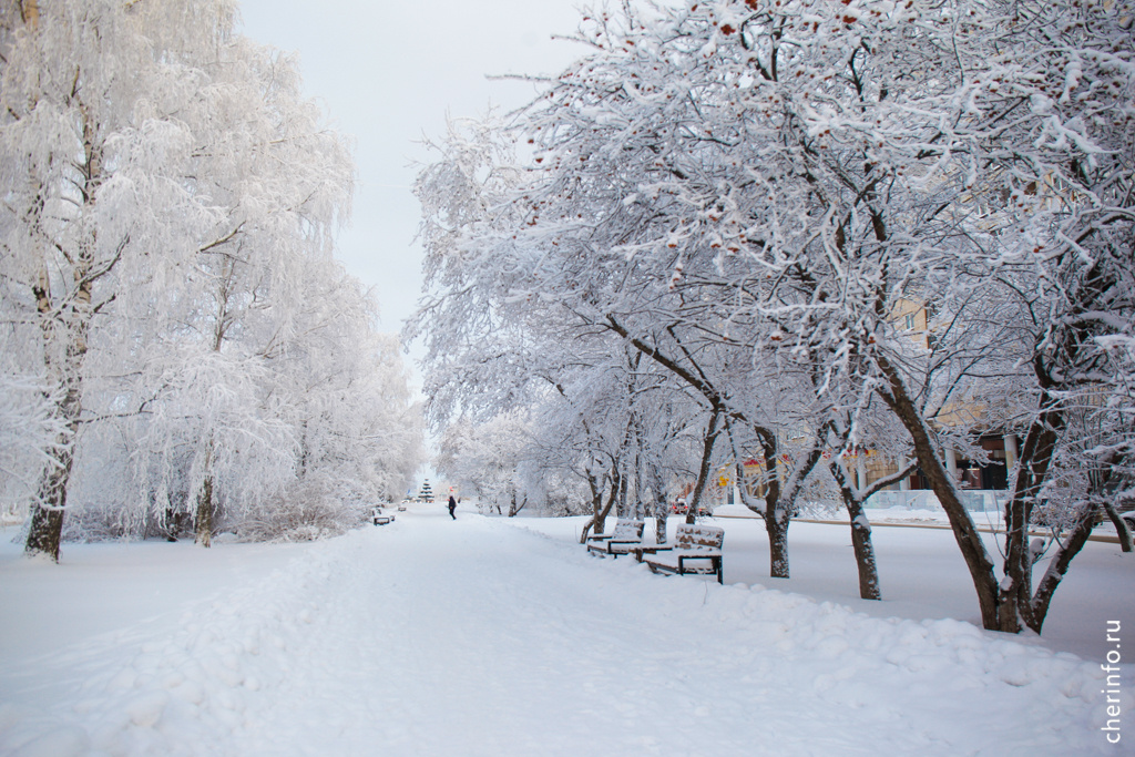    Понижение температуры начнется со среды, 21 января.
