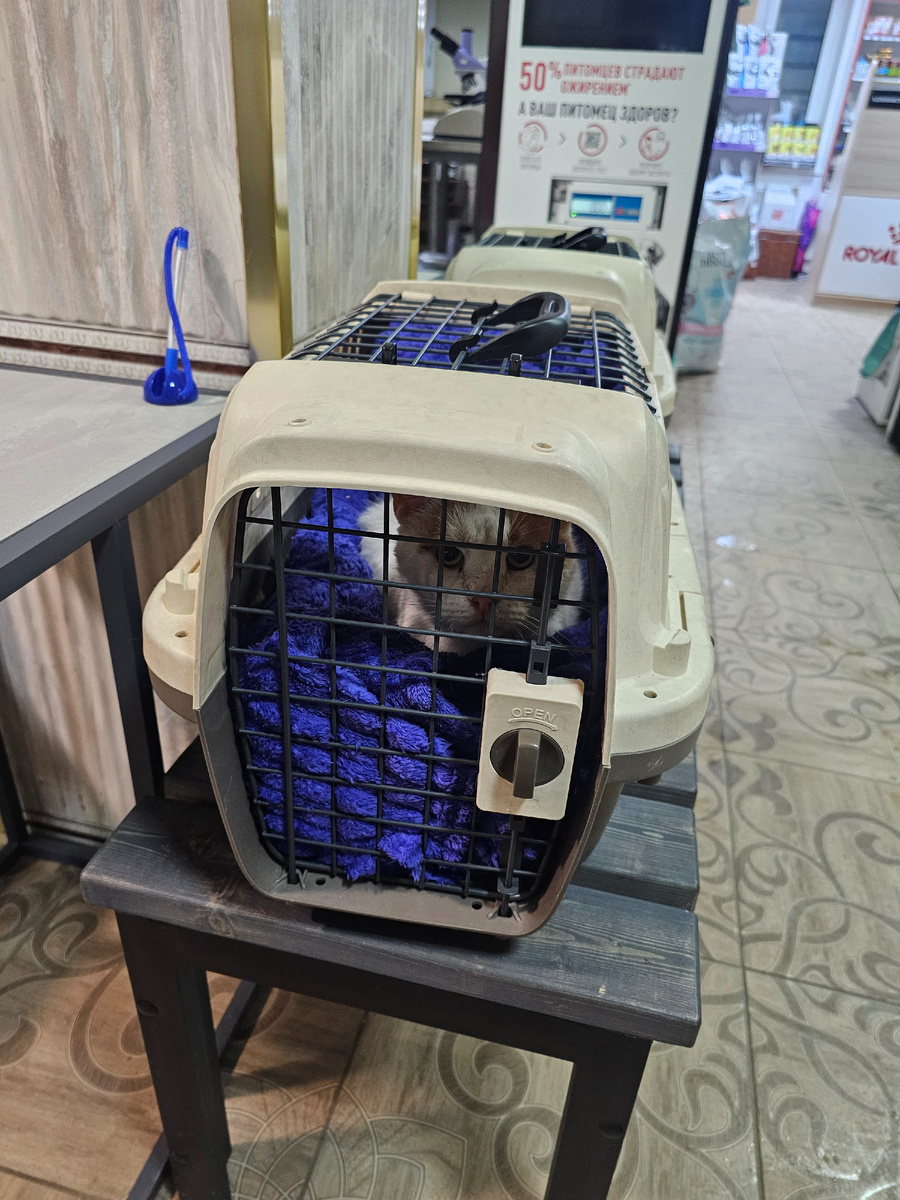 Фото автора. Надо часто посещать врачей.