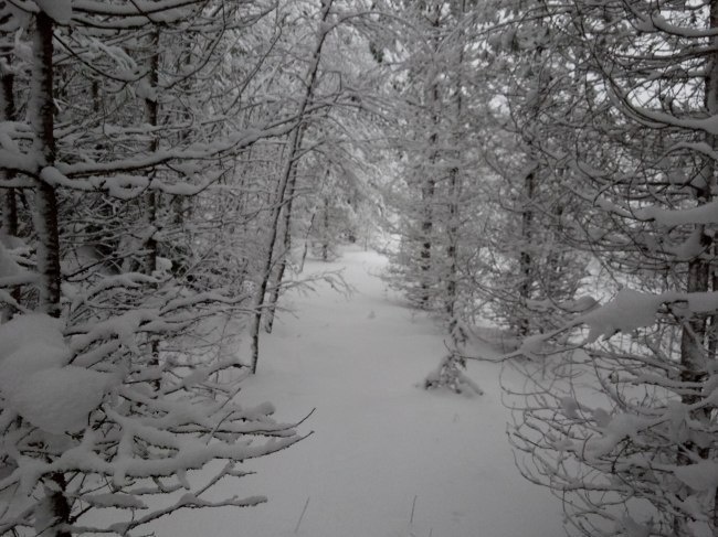 фото и стихи автора