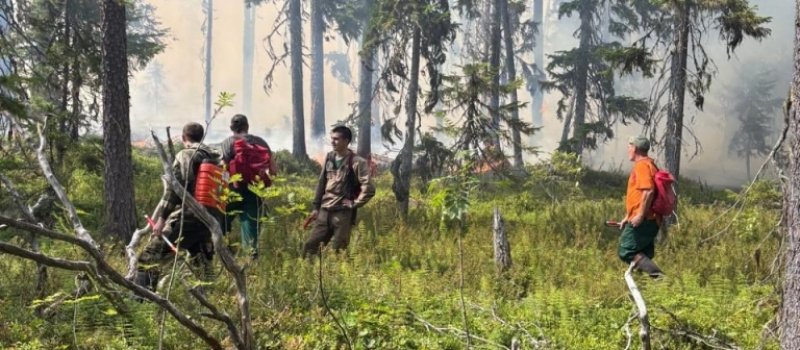    Минприроды Карелии