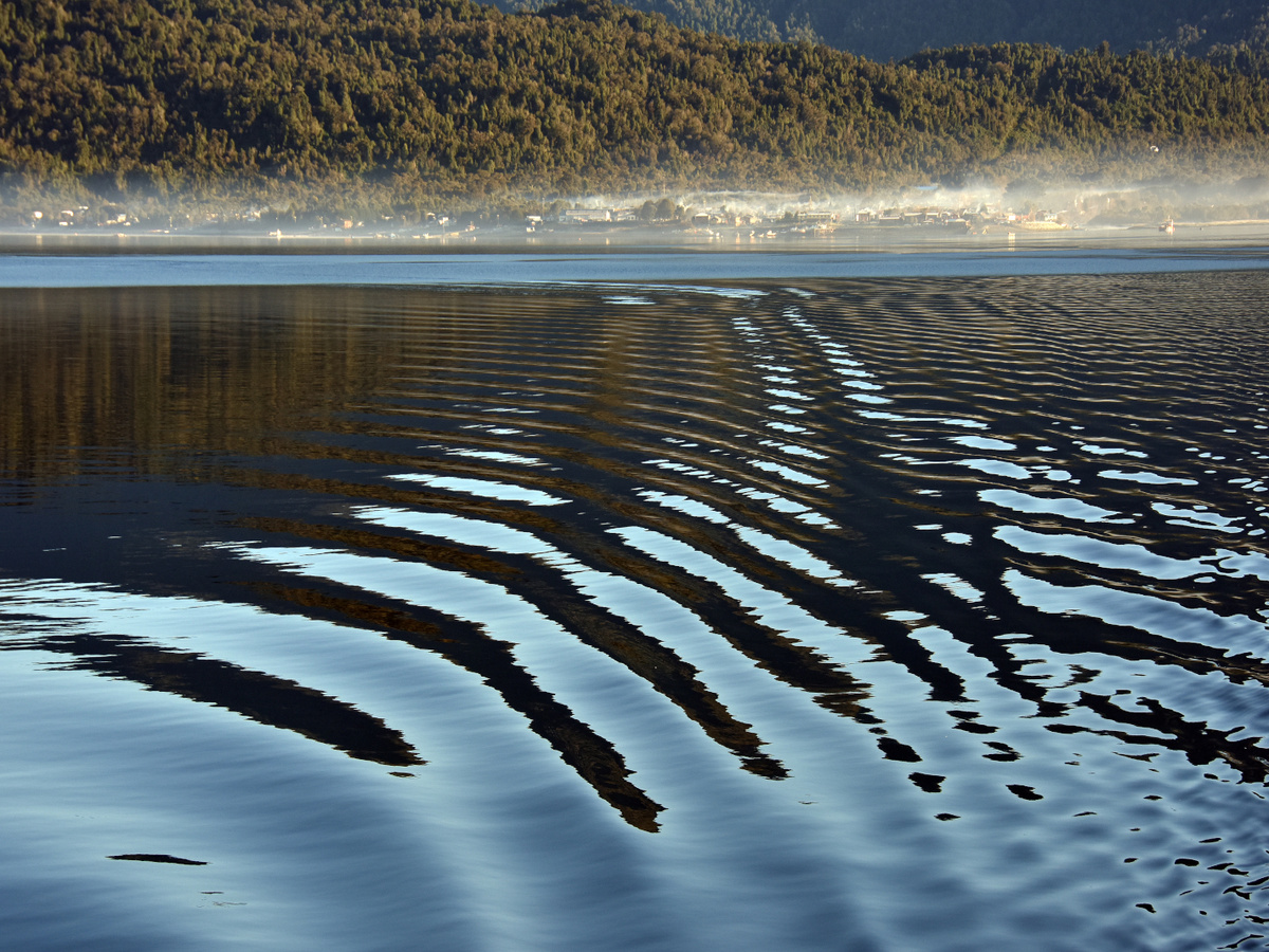 Изображение: freepik.com