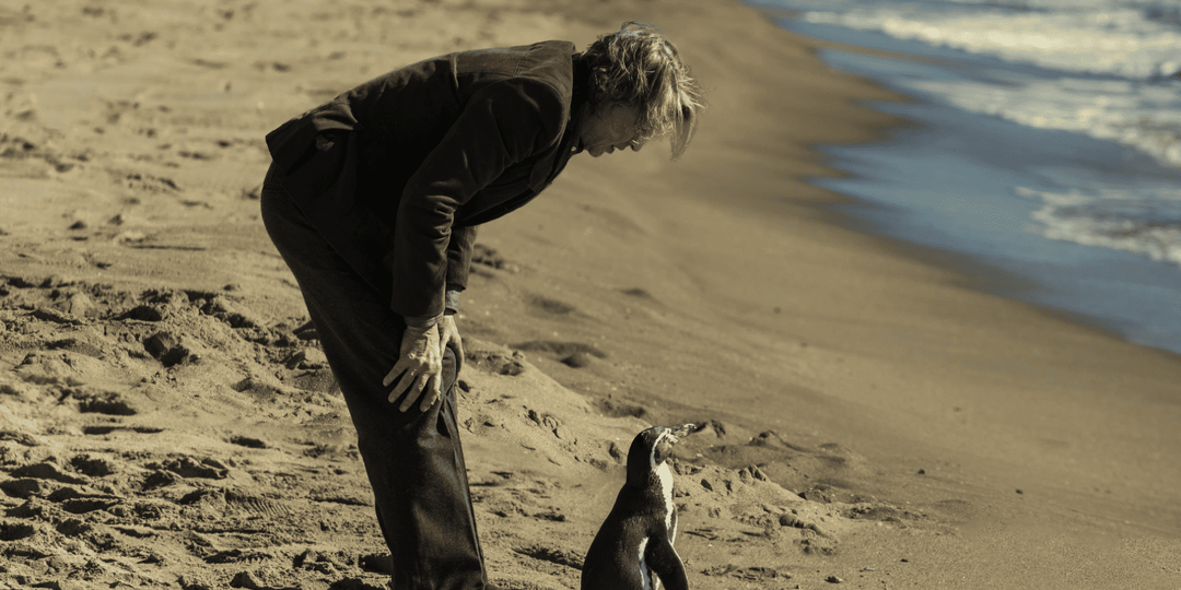 «Школа мистера Пингвина» — фильм, который стоит посмотреть