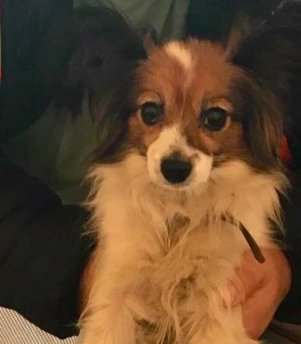    Фото: Федеральная пассажирская компания