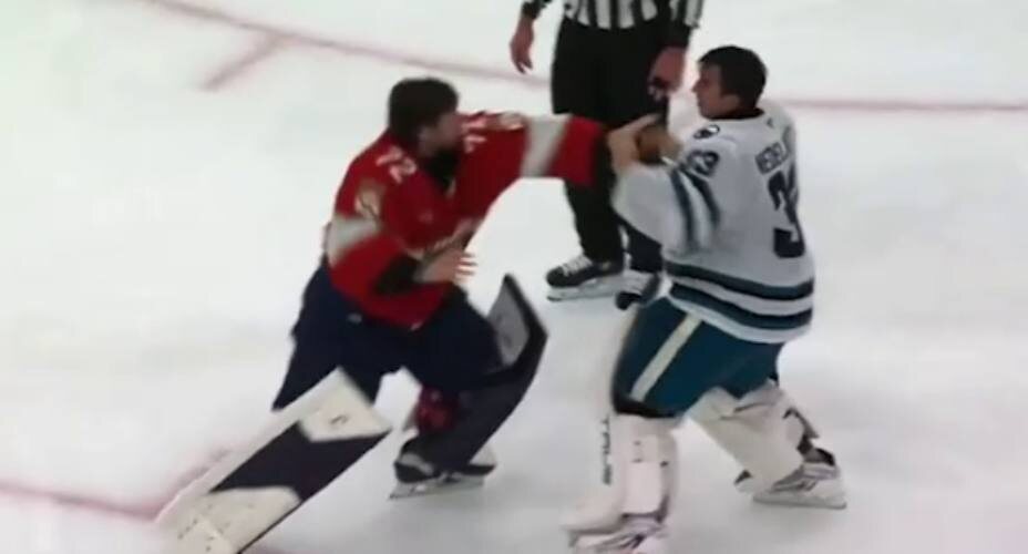    Драка Бобровского (слева) и Недельковича получилась эффектной. Фото: Скриншот видео