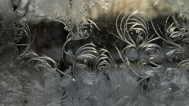     Мороз. Зима. Лариса Васильева