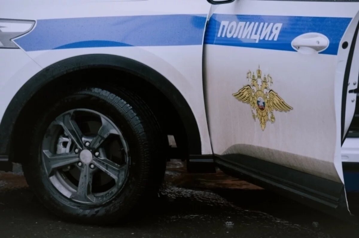    В Чувашии полицейские помогли беременной автоледи