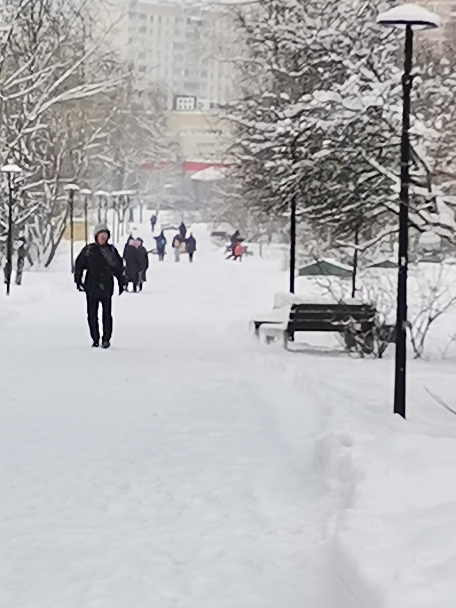 Как вы думаете, этот снимок настоящий или сгенерирован «искусственным интеллектом»? Можете отличить одно от другого? Поверите автору, что снимок настоящий? Чем докажите?