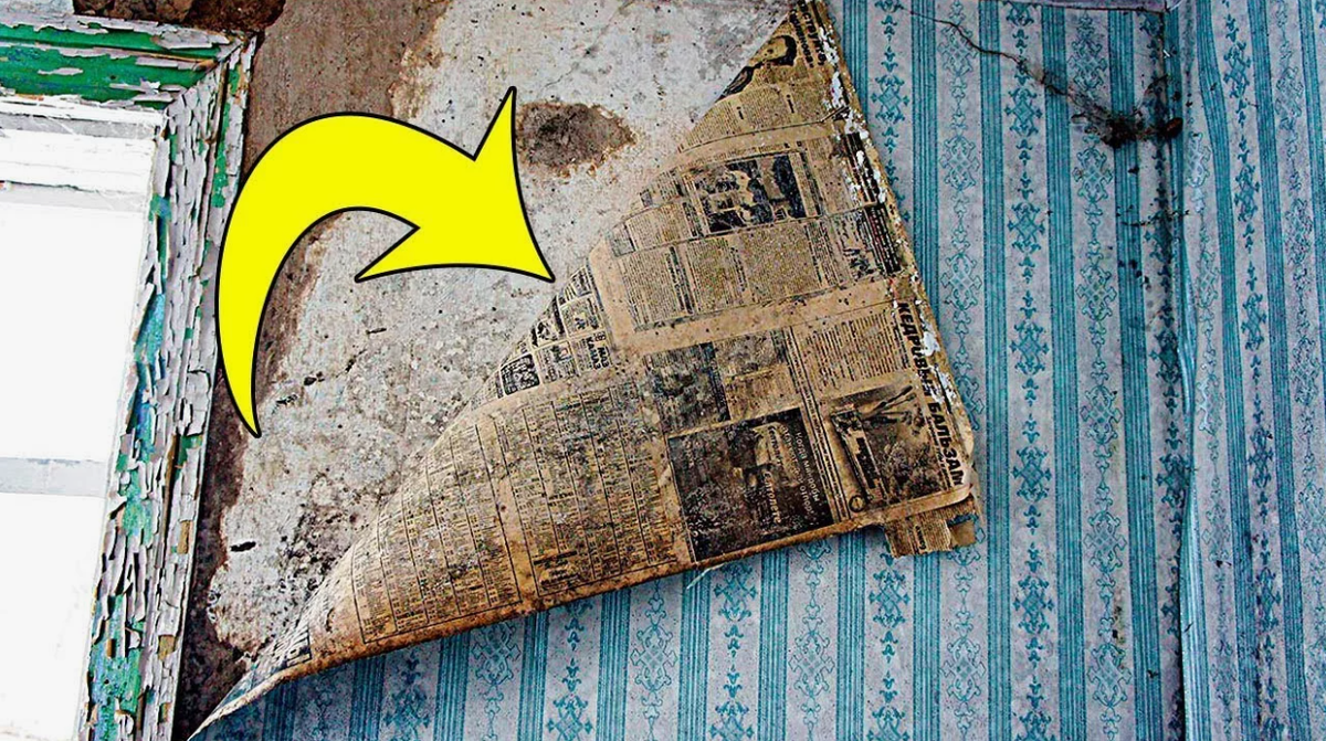 Источник: pikabu.ru