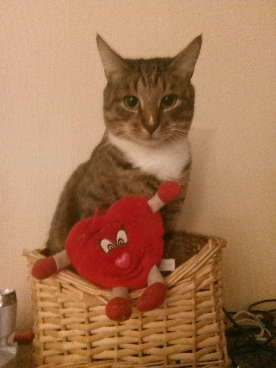 Семен вырос. Фото 2 года спустя