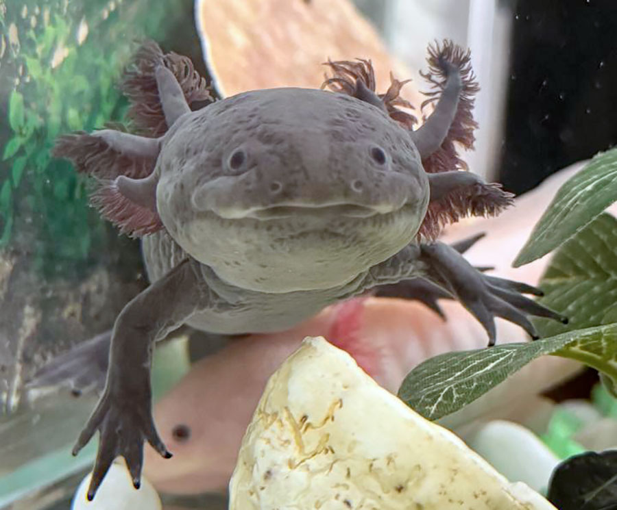 Фото предоставлено Екатериной Ивановой