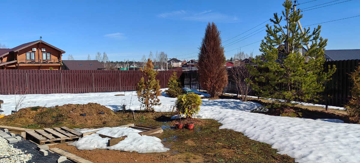 На первом выезде и осмотре участка, обаруживаем массу классических ошибок: уже высажены хвойные, хотя планировка и дренаж еще не сделаны.  Растения посажены с нарушением агротехники - не учитывались расстояния, в будущем им будет тесно, а корневые шейки заглублены, и видно, что некоторые хвойные уже погибли. Растения высаживались без какого-либо общего плана дальнейшего благоустройства.