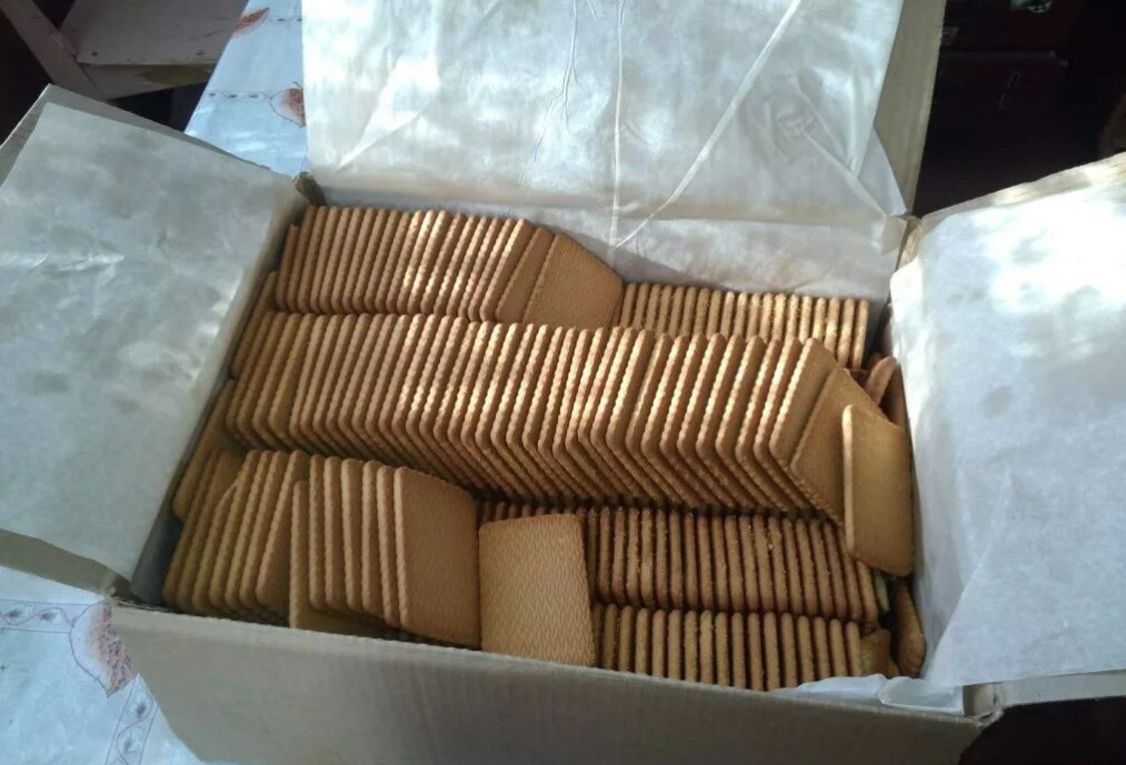 Фото из сети Интернет 