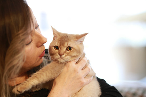 Как кошки выбирают своего хозяина