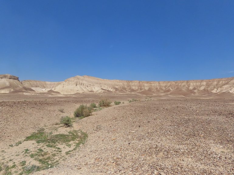 Иудейская пустыня. Фото יעקב - Own work, CC BY-SA 4.0 Wikipedia