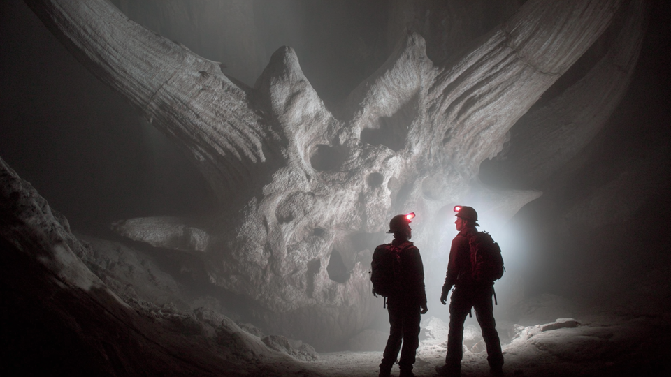 Фото: © РЕН ТВ