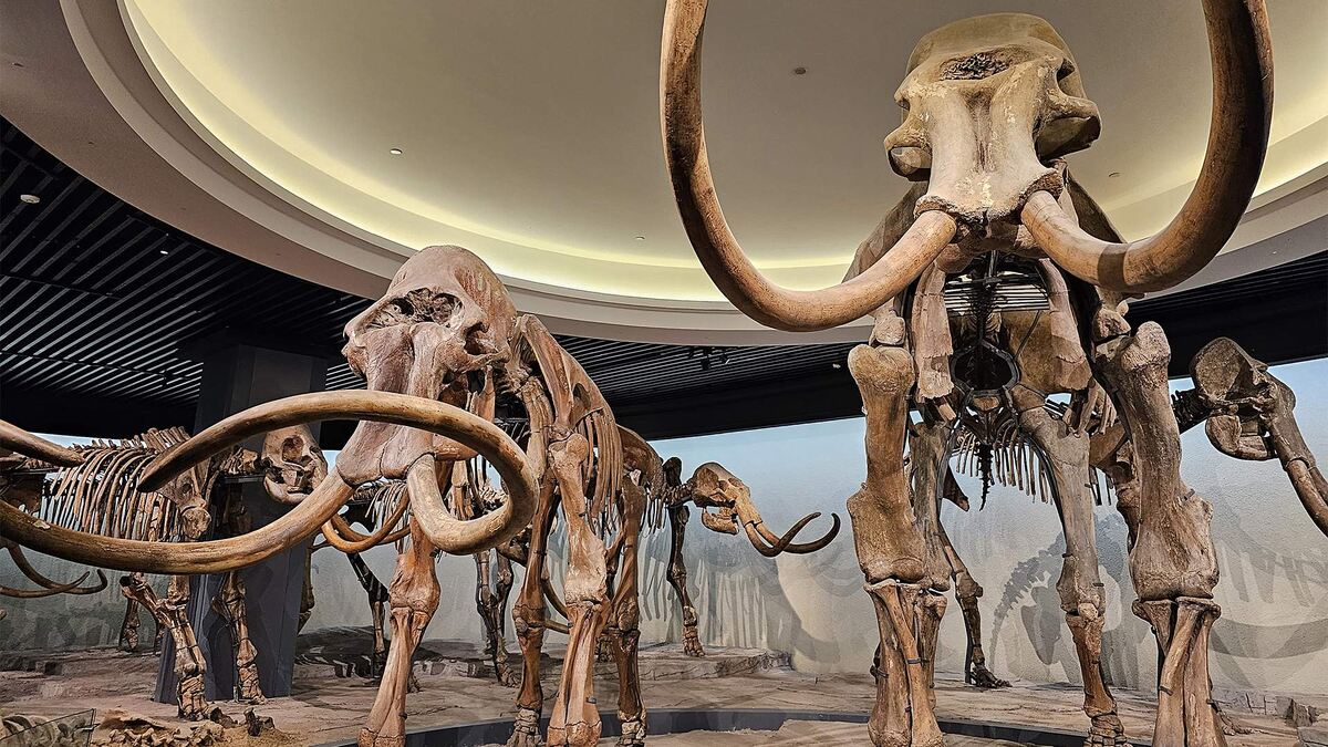 Фото: Global Look Press/Sun Xiaoyu