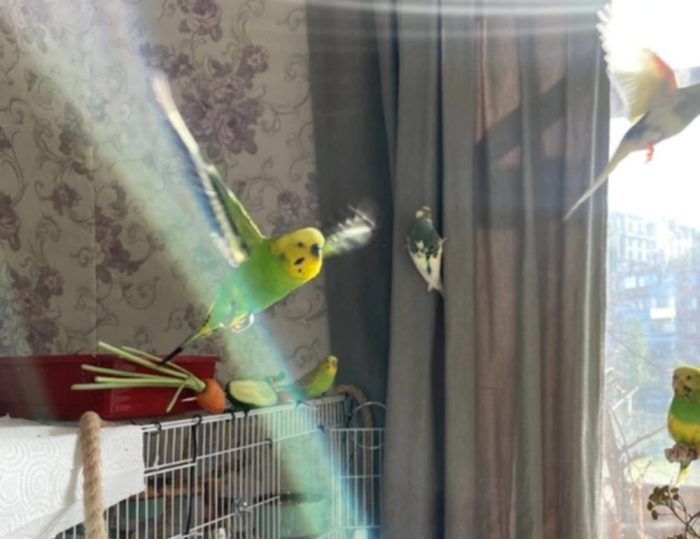 Фото: предоставлено Ангелиной «КП-Новосибирск».