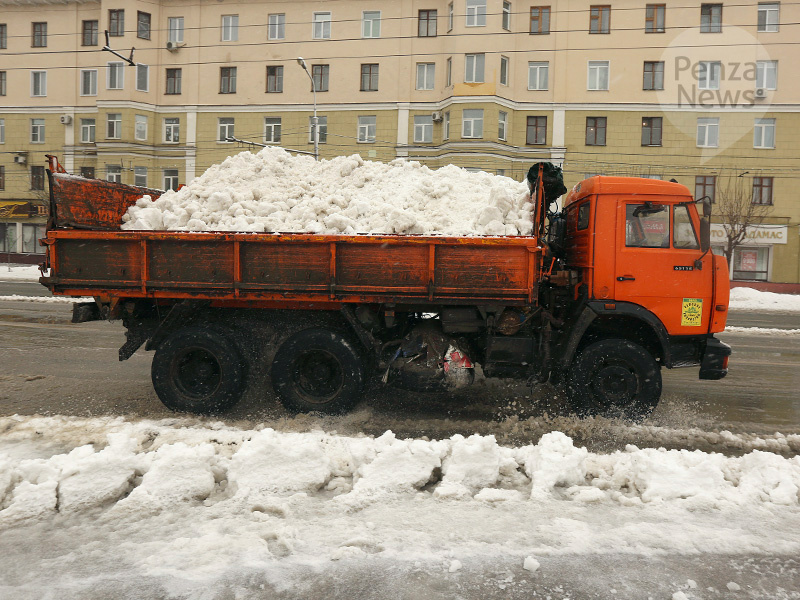    © Фото из архива ИА «PenzaNews»