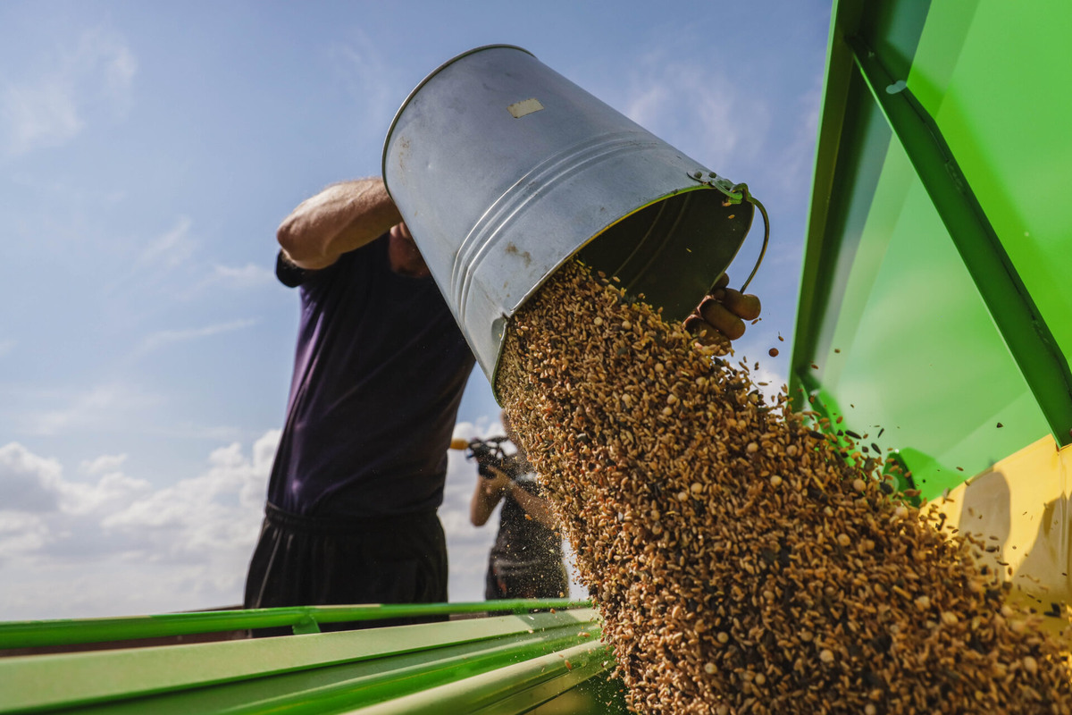    Фото: ТРК «Таврия»