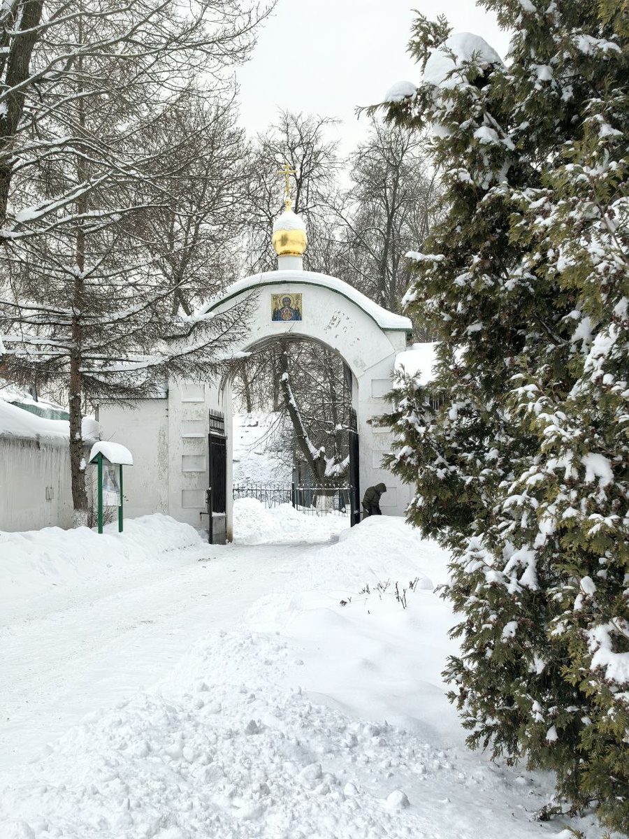 Ворота монастыря