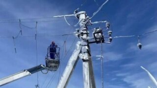    t.me/agproshunin Юлия Виноградова