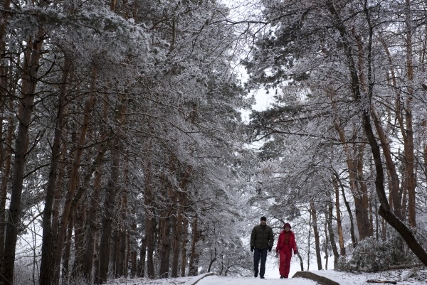 Фото: Антон Подгайко/РИА Новости
