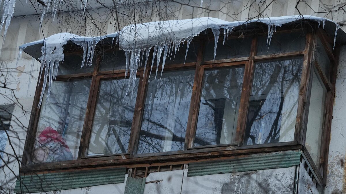    Фото: ИЗВЕСТИЯ/Дмитрий Коротаев