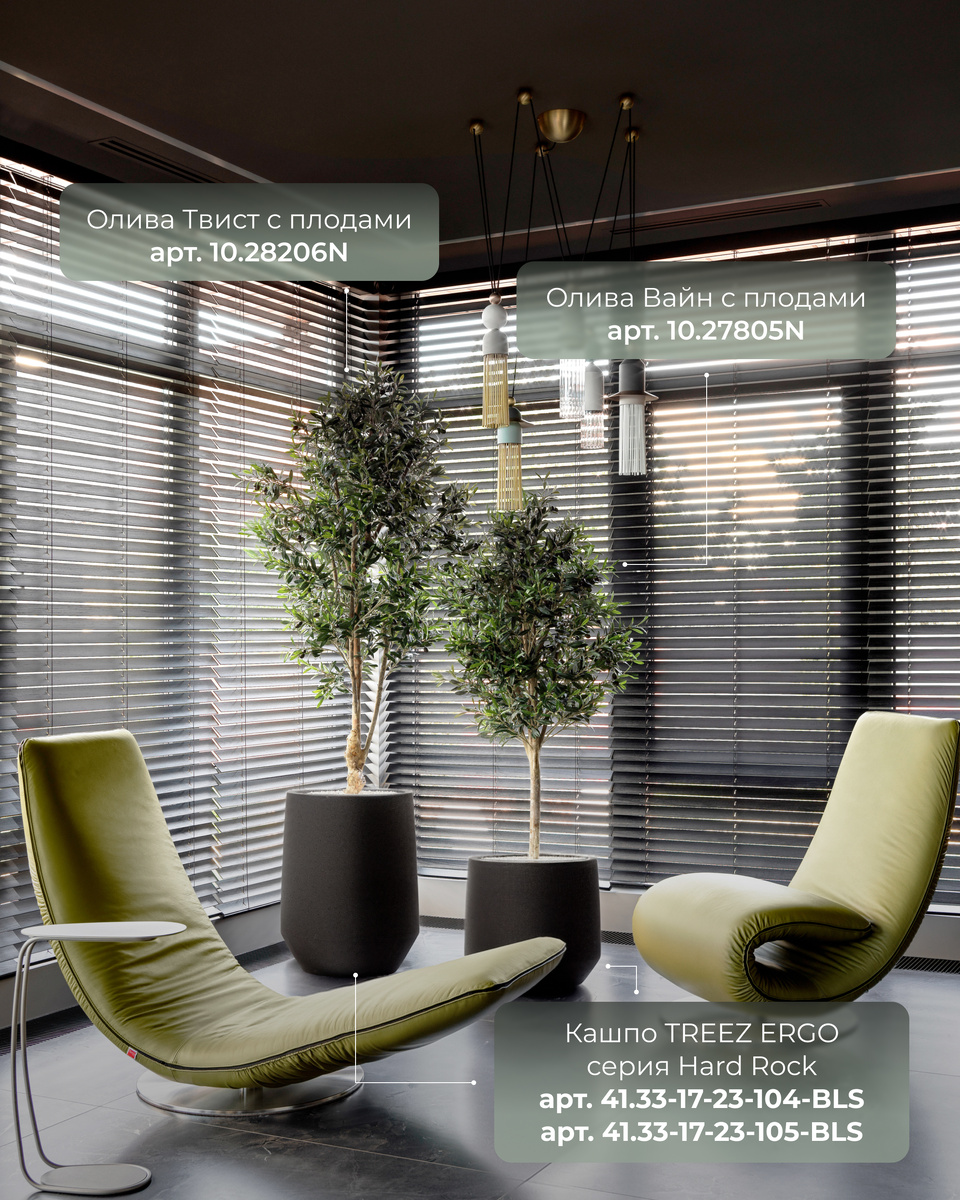 Кашпо и растения TREEZ Collection